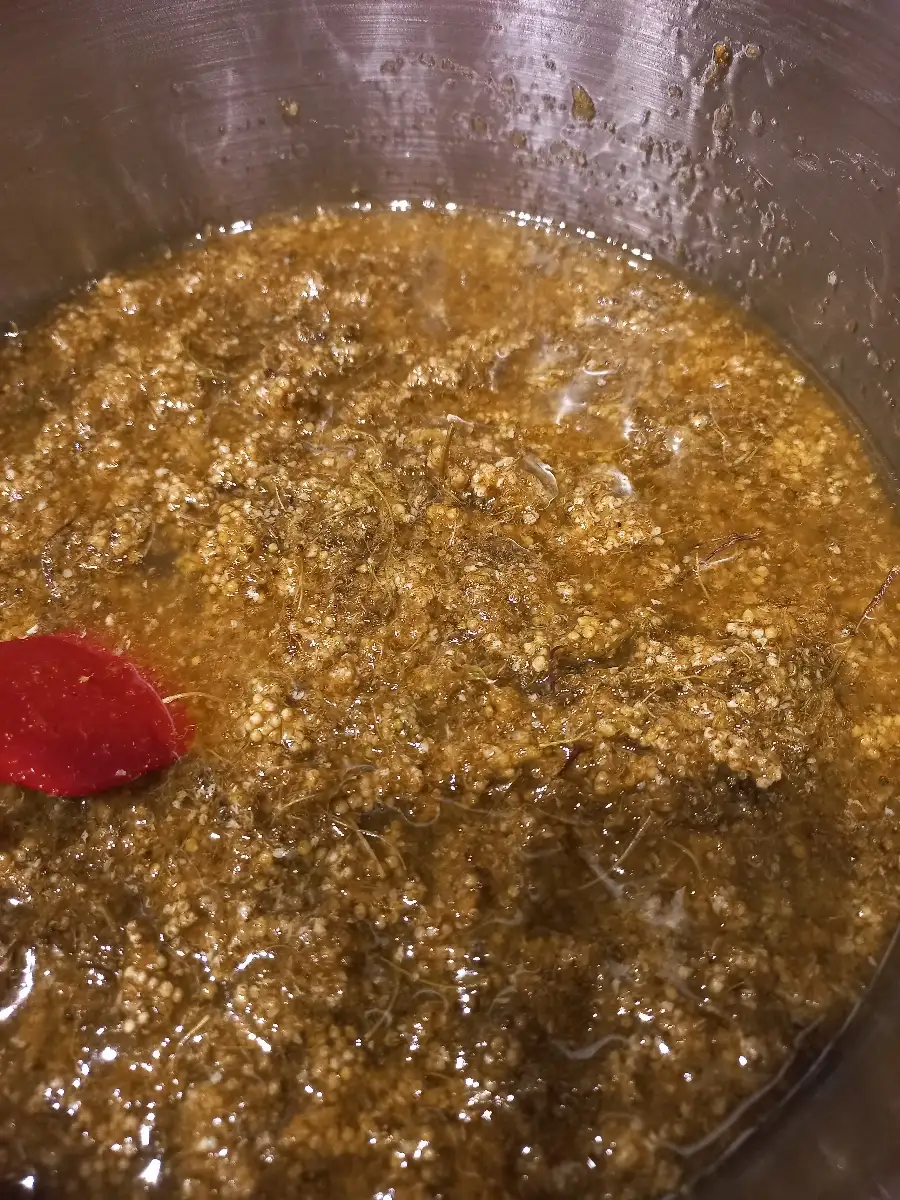 macérât d'Hélichryse