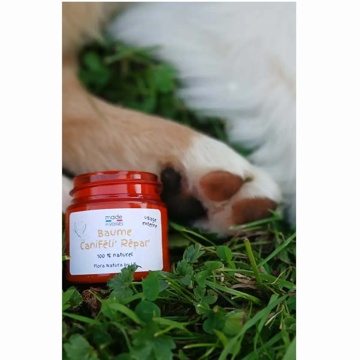 Baume Caniféli' Répar'