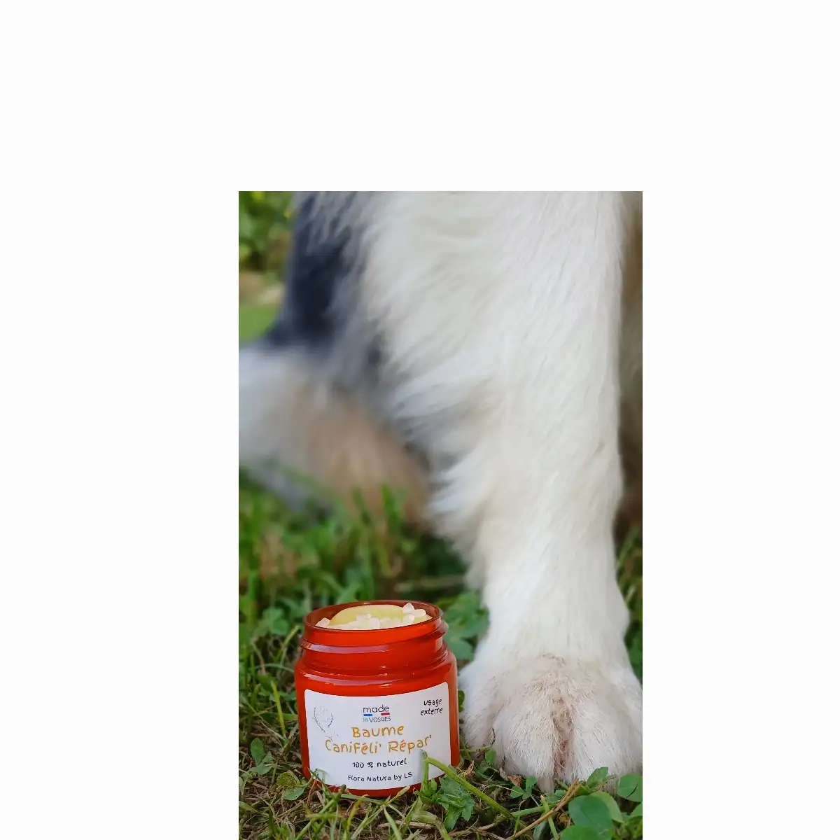 Baume Caniféli' Répar'