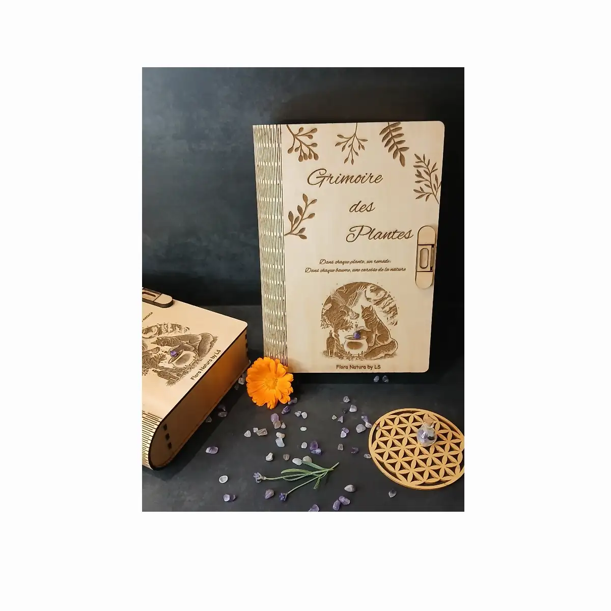 Grimoire des plantes