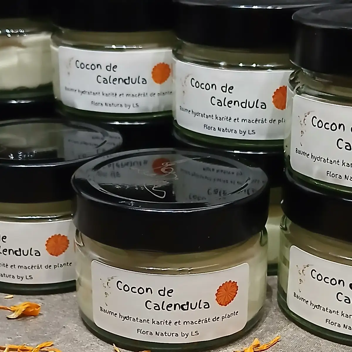 Cocon de Calendula